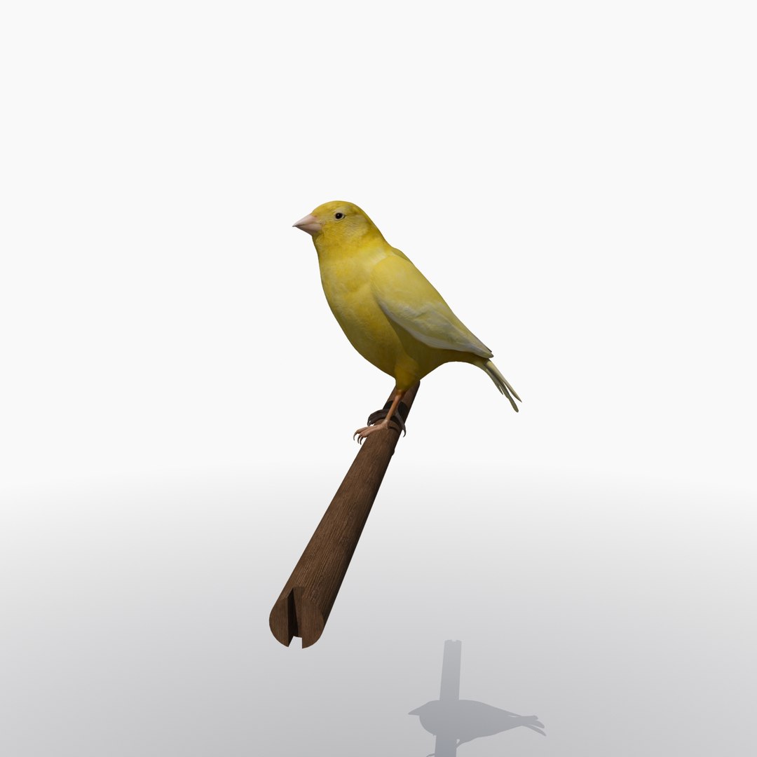 3ds max chinese bird cage canary https://p.turbosquid.com/ts-thumb/Sl/qzV8Op/YH3QY7Q5/birdcage3/jpg/1445099165/1920x1080/fit_q87/e901525b8c225b558c412c491ae0c352e33163b9/birdcage3.jpg