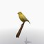 Bird Cage and Canary