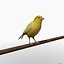 Bird Cage and Canary
