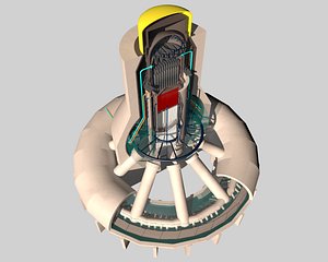 Fukushima reactor core and cooling system