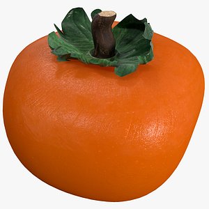 persimmon fruit max