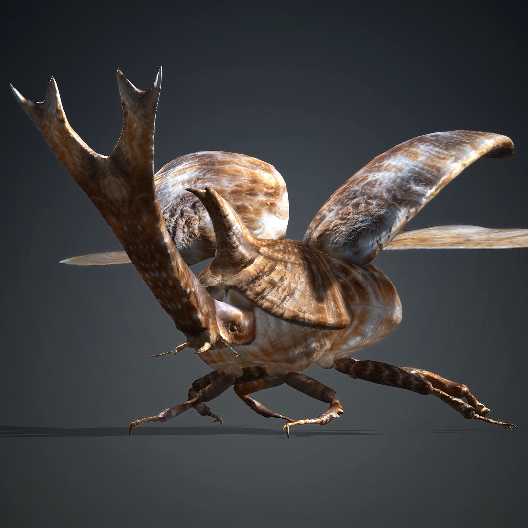 3D Stenocara-A4 https://p.turbosquid.com/ts-thumb/Sm/DxaldJ/d9/a4/jpg/1765786040/1920x1080/fit_q87/3a0a88095c6d6e7924b61aaa7e31757e0882d93c/a4.jpg