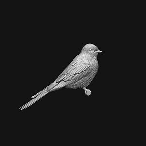 Barn swallow BIRDS MODEL stl for 3d printing 3D