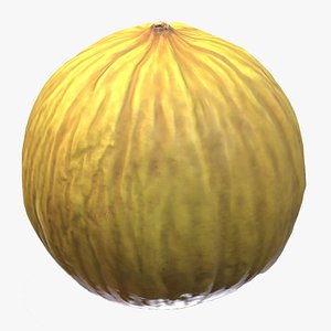 3D Casaba Melon Low Poly model