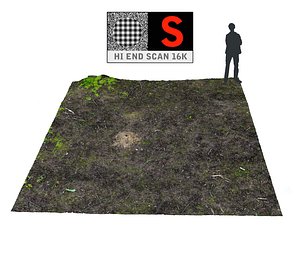 forest ground 16k hd max