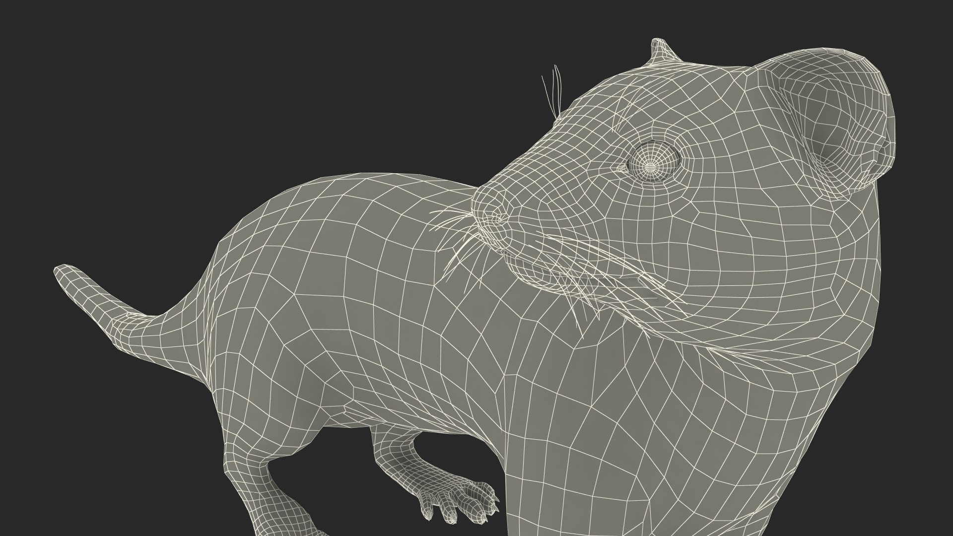 White Ermine Lifelike Pose 3D https://p.turbosquid.com/ts-thumb/Sm/IOPcAj/AV/whiteerminelifelikeposevray3dmodel034/jpg/1711936715/1920x1080/fit_q87/9fd8509914927d11884b54df8d6b92fa004dfd9b/whiteerminelifelikeposevray3dmodel034.jpg