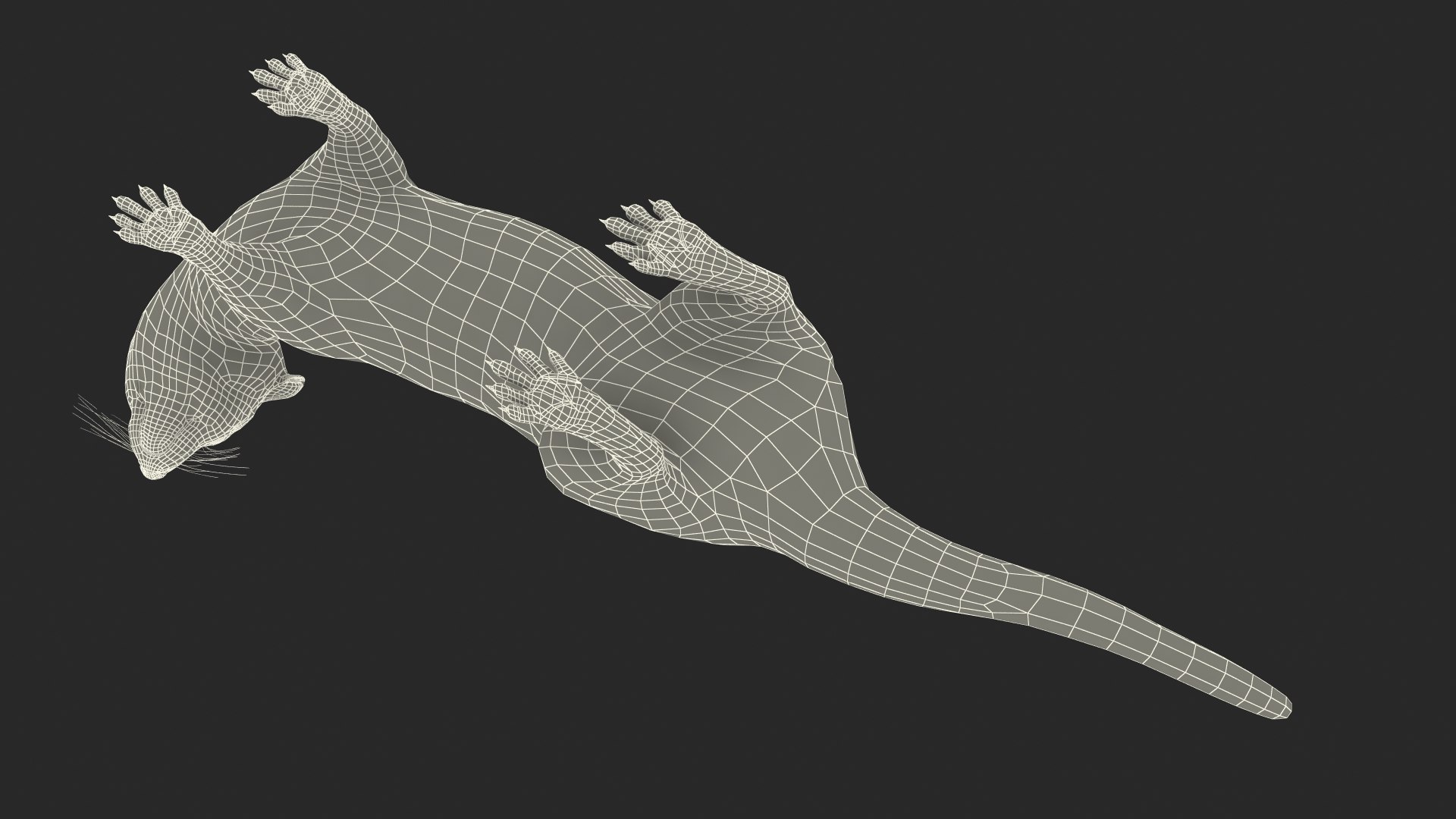 White Ermine Lifelike Pose 3D https://p.turbosquid.com/ts-thumb/Sm/IOPcAj/B4/whiteerminelifelikeposevray3dmodel033/jpg/1711936712/1920x1080/fit_q87/e730e572ab403b70ddfd474c984ced096784963b/whiteerminelifelikeposevray3dmodel033.jpg