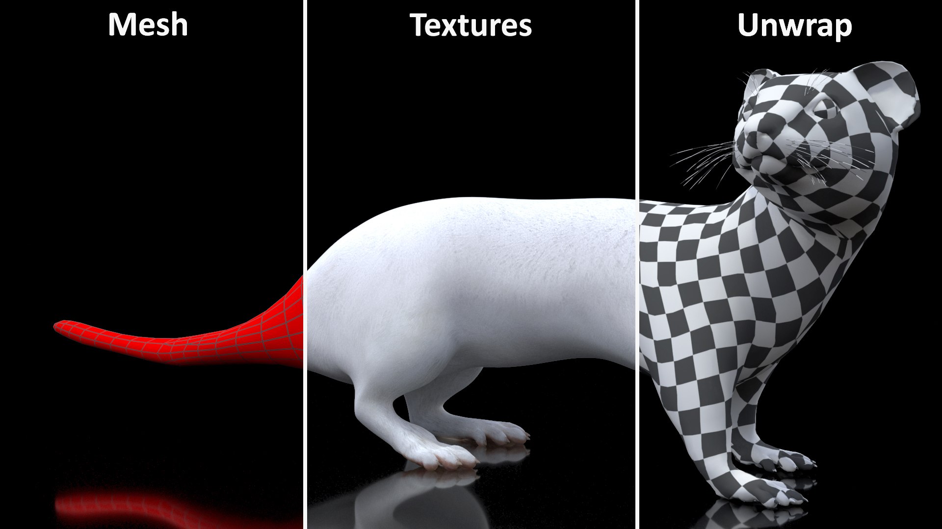 White Ermine Lifelike Pose 3D https://p.turbosquid.com/ts-thumb/Sm/IOPcAj/I9/whiteerminelifelikeposevray3dmodel021/jpg/1711936671/1920x1080/fit_q87/55435e488394489f23a160fb784ff3da470cf04b/whiteerminelifelikeposevray3dmodel021.jpg