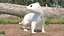 White Ermine Lifelike Pose