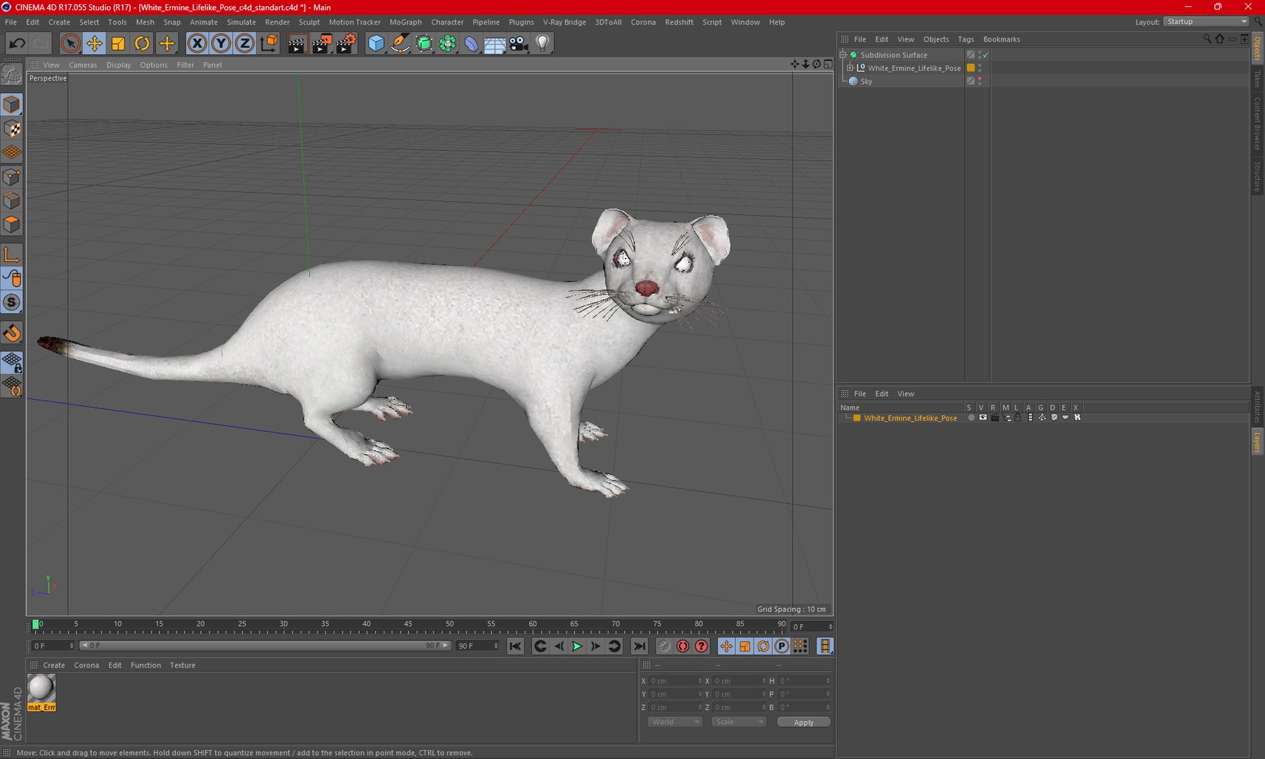 White Ermine Lifelike Pose 3D https://p.turbosquid.com/ts-thumb/Sm/IOPcAj/Pc/whiteerminelifelikeposevray3dmodel026/jpg/1711936688/1920x1080/fit_q87/c29ce6aea05c780a55625fcb7e34af170688567f/whiteerminelifelikeposevray3dmodel026.jpg