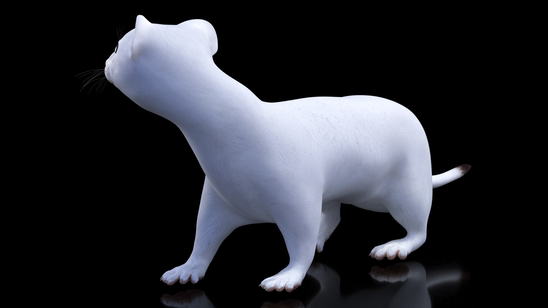 White Ermine Lifelike Pose 3D https://p.turbosquid.com/ts-thumb/Sm/IOPcAj/j6/whiteerminelifelikeposevray3dmodel007/jpg/1711936629/1920x1080/fit_q87/7bf398e76a0c0c174e83ecdd7454cdd36c283057/whiteerminelifelikeposevray3dmodel007.jpg