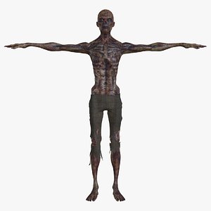 Zombie Rigged