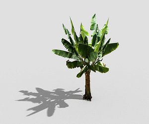 banana tree 3d 3ds