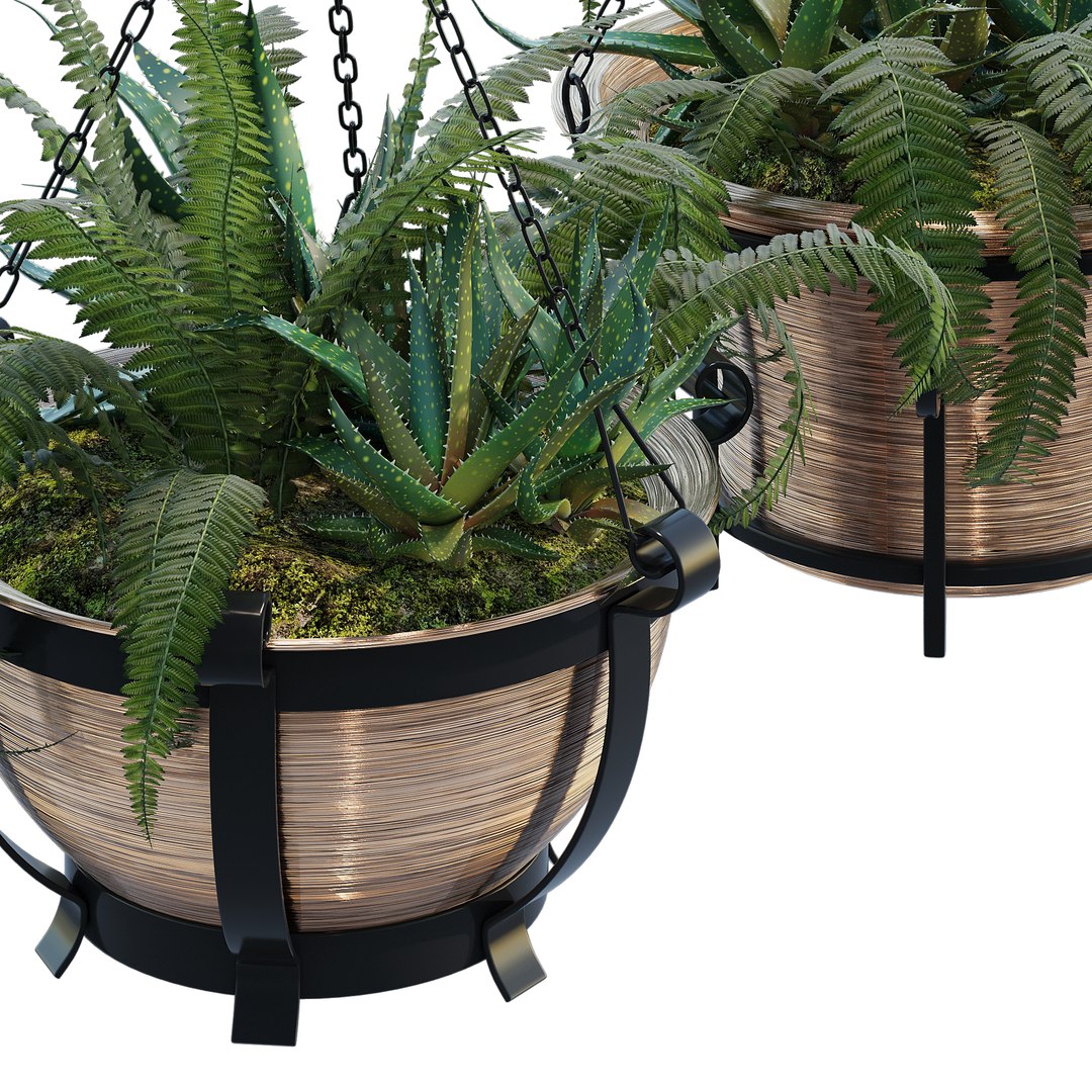 Outdoor hanging baskets two 3D https://p.turbosquid.com/ts-thumb/Sm/qWb9R7/8X/0_cam_9089_5/jpg/1779869702/1920x1080/fit_q87/ed49cc4ebbe691cdf55f003521b336eacd57a9d9/0_cam_9089_5.jpg
