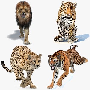 Big Cats Game-Ready 3D Model Bundle Rigged and Animated