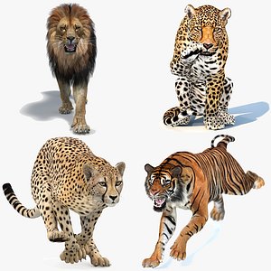 Big Cats Game-Ready 3D Model Bundle Rigged and Animated