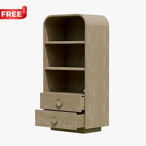3D Modern Wooden Storage Cabinet with Shelves and Two Drawers