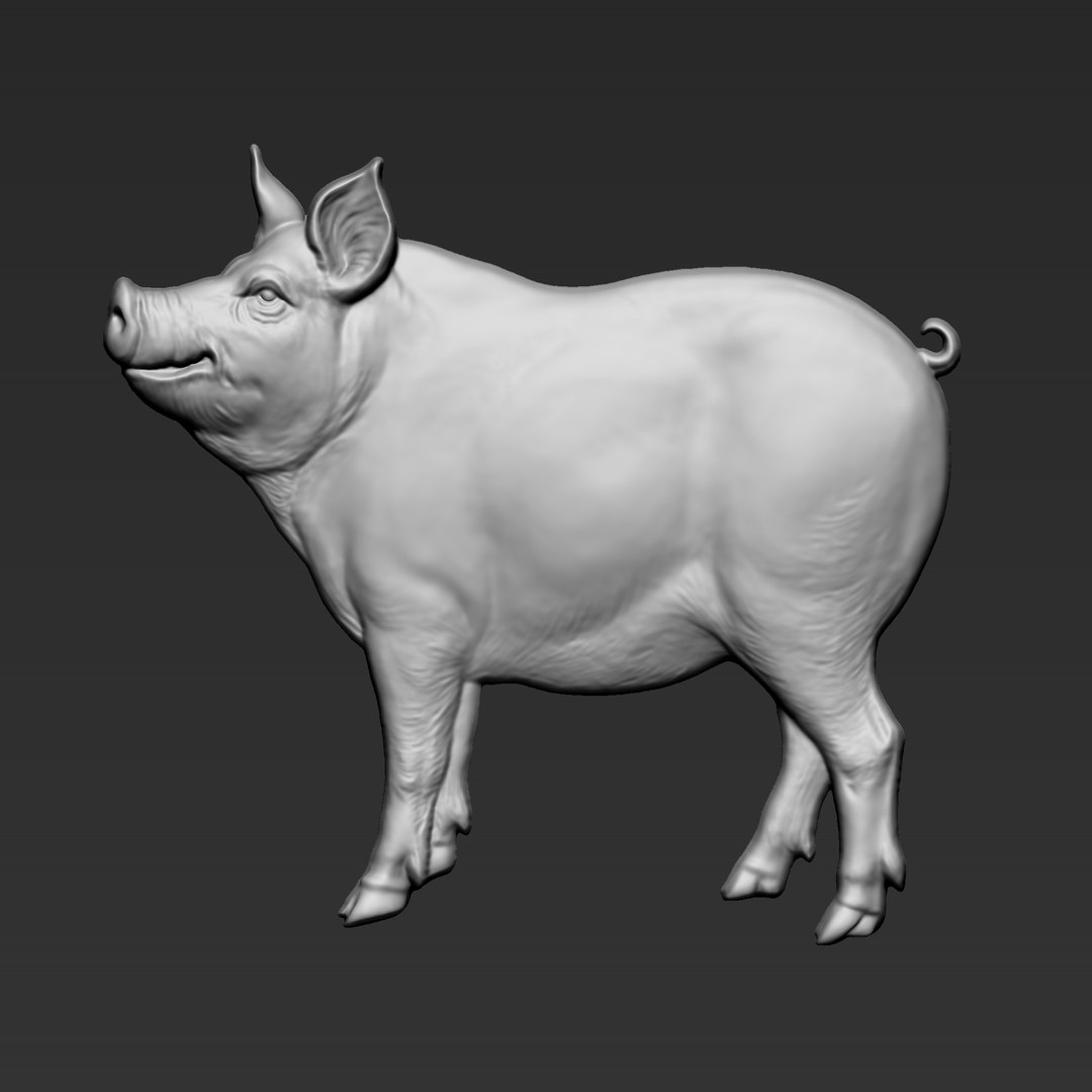 Pig Bas-relief 3D Model - TurboSquid 2435918