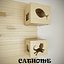 Cat House
