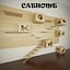 Cat House