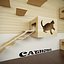 Cat House