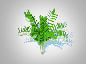Polygonatum-Solomon Seal 3D model