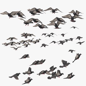 small flocks pigeons flying 3D model