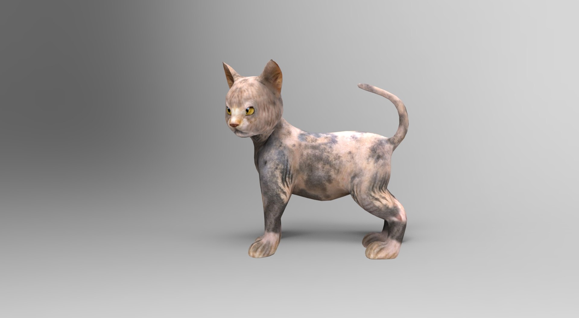 3D Cat Rigged Animation Model - TurboSquid 1204631