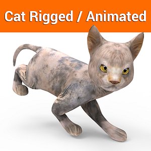 3D cat rigged animation model