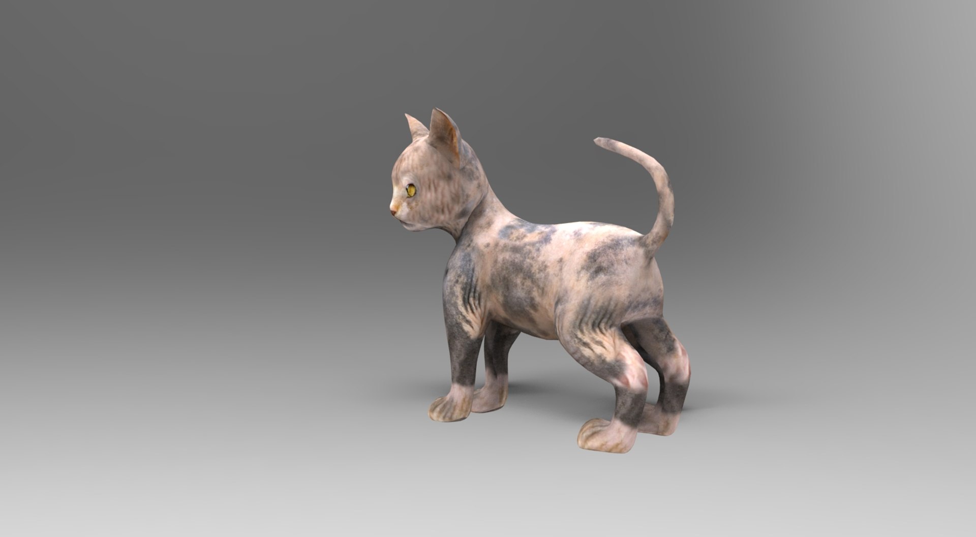 3D Cat Rigged Animation Model - TurboSquid 1204631