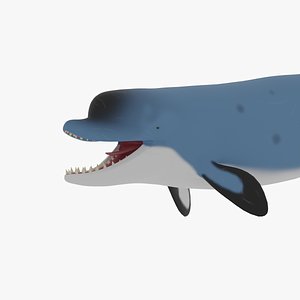 3D Acrophyseter model