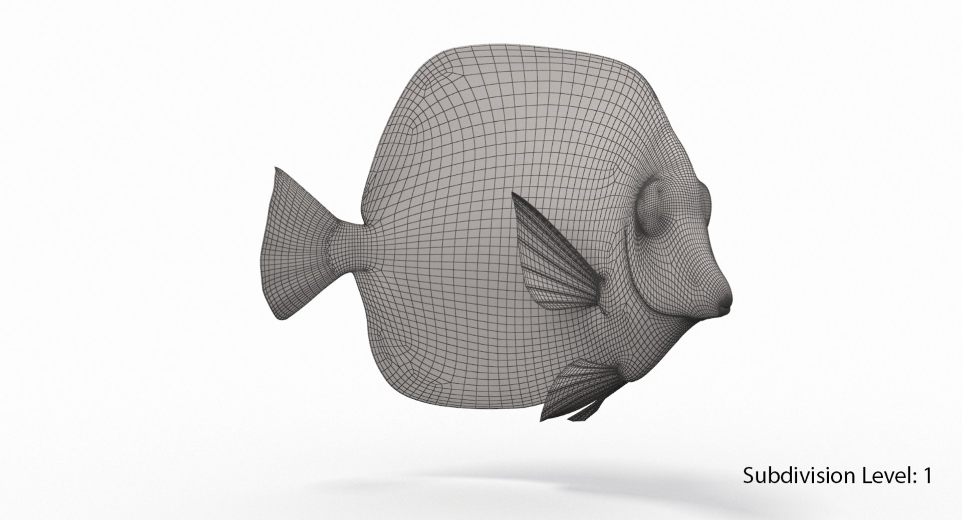 Yellow Tang Fish Animation 3D Model - TurboSquid 1288742