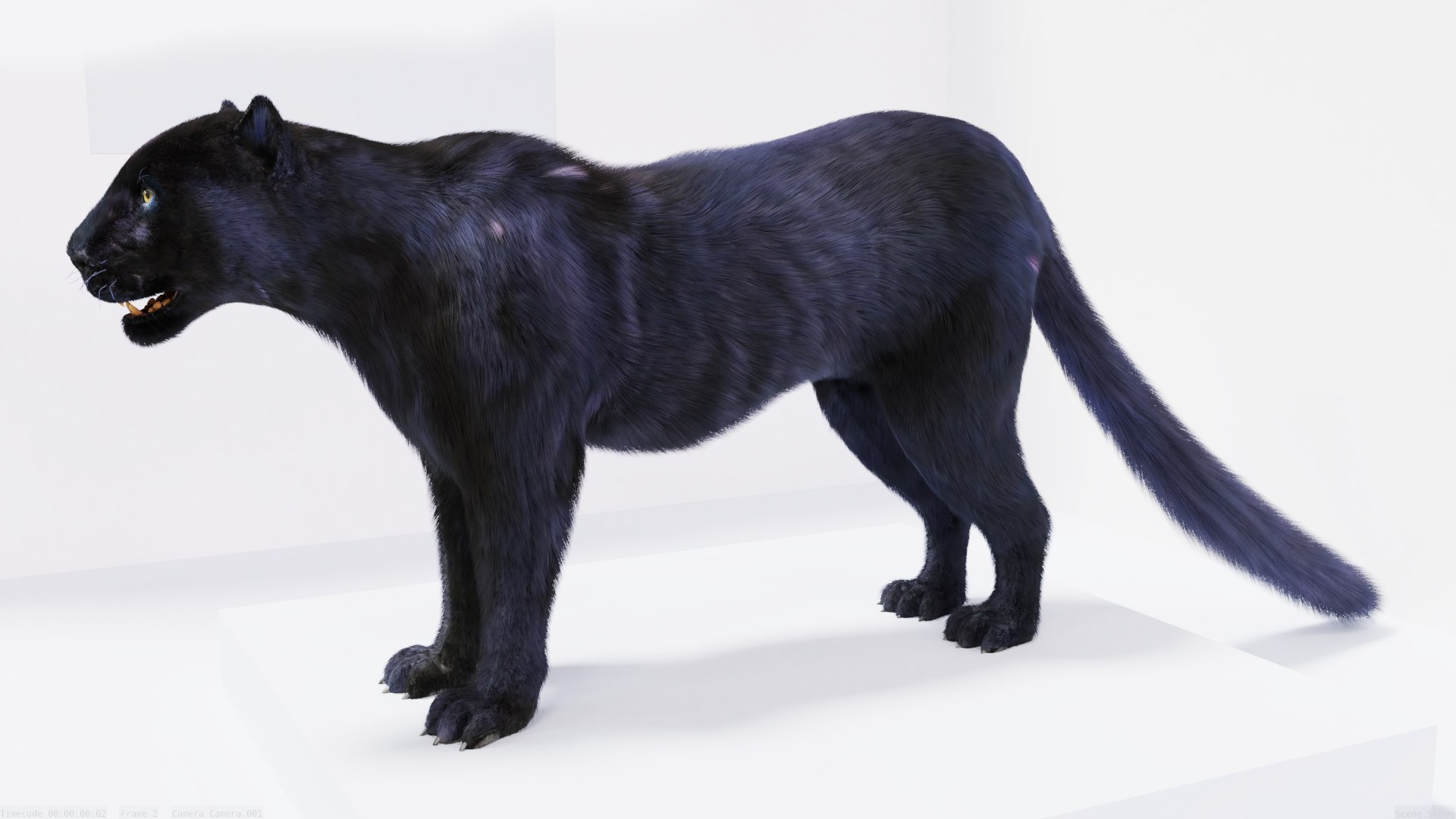 3D Model Fur Black Panther - TurboSquid 1701534