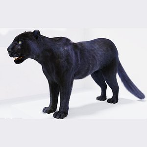 Realistic Fur Black Panther 02 NO RIG