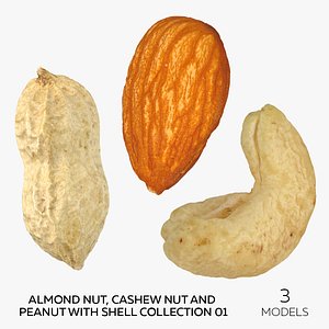 3D model Almond Nut, Cashew Nut and Peanut With Shell Collection 01 - 3 models