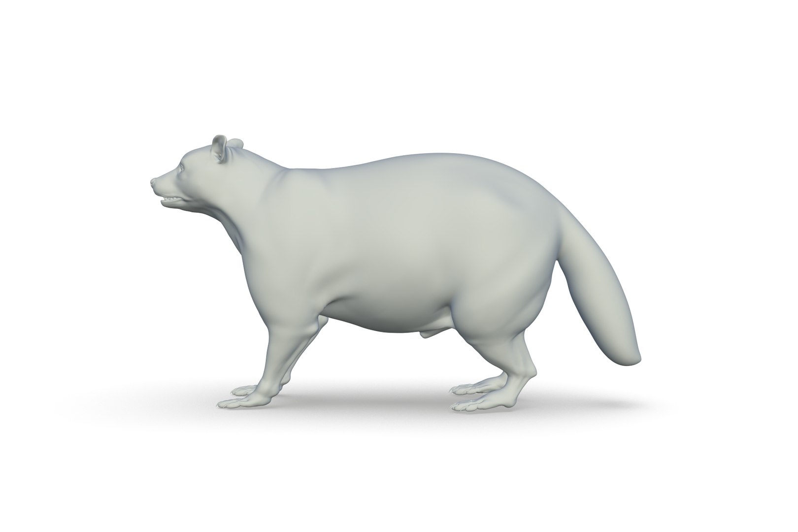 Raccoon 3D Model - TurboSquid 2213510