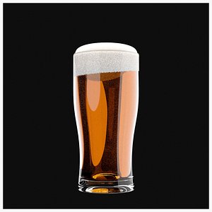 Beer 3D Model 3D