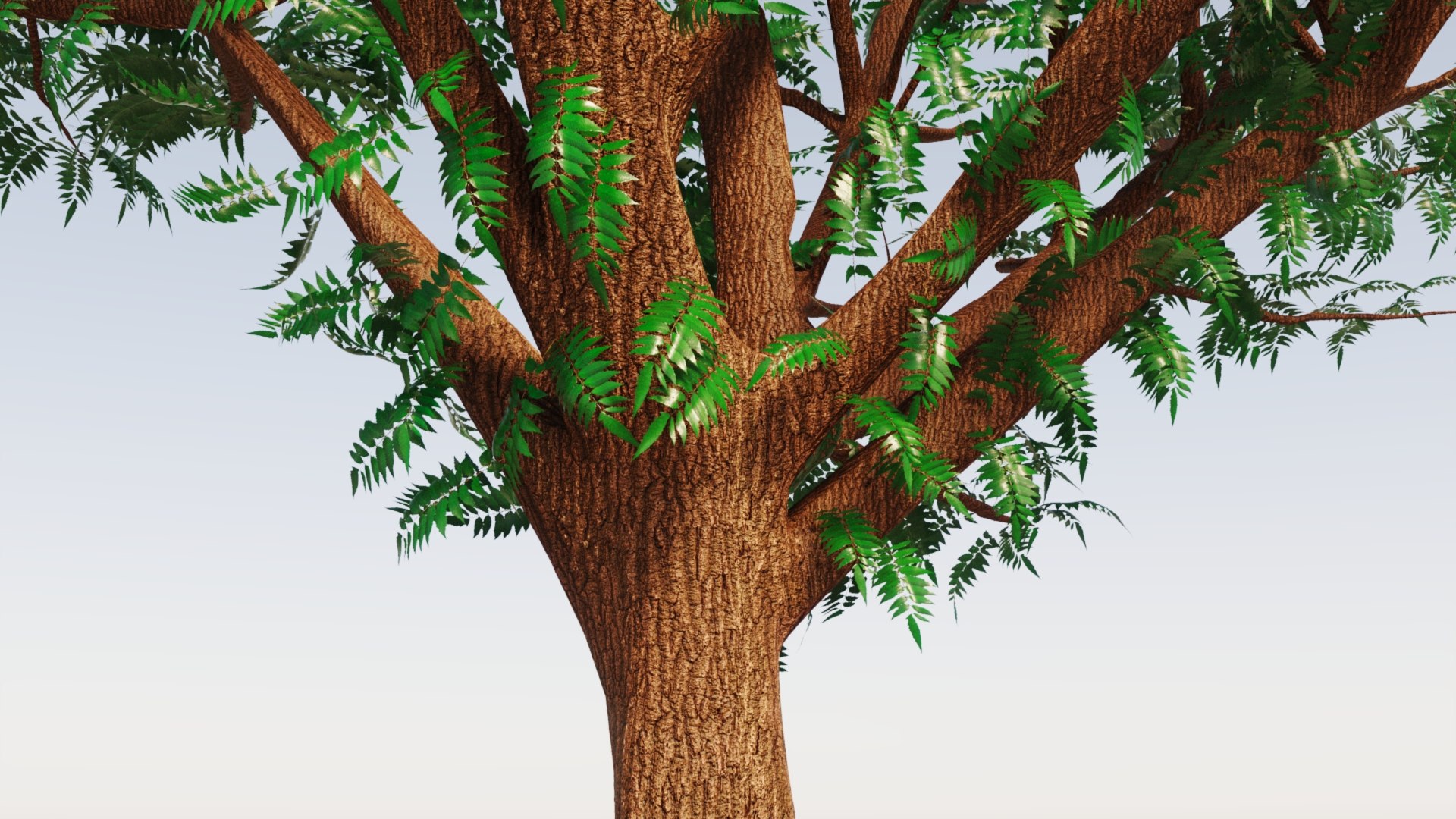 3D Tree Pack - TurboSquid 2167864