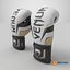Punch  Boxing  Glove White Venum Elite Evo