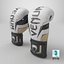 Punch  Boxing  Glove White Venum Elite Evo