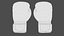 Punch  Boxing  Glove White Venum Elite Evo