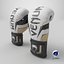 Punch  Boxing  Glove White Venum Elite Evo