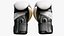 Punch  Boxing  Glove White Venum Elite Evo