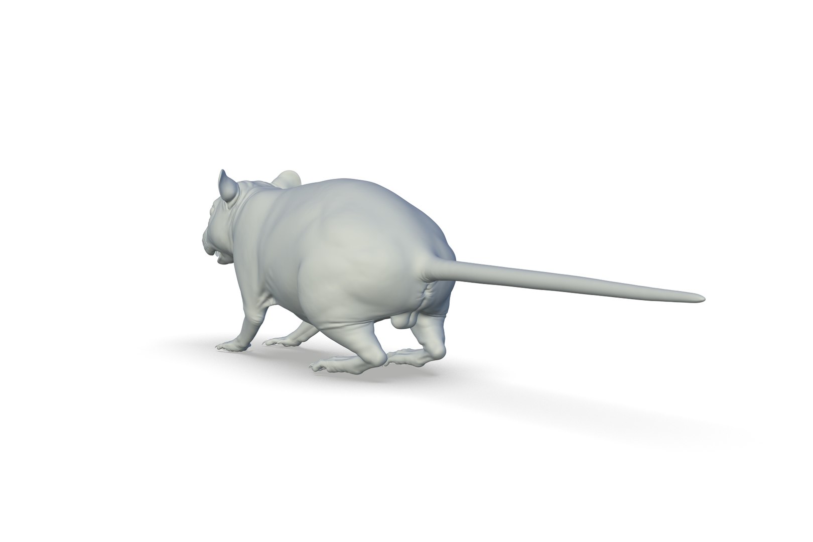 3D Rat Model - TurboSquid 2213668