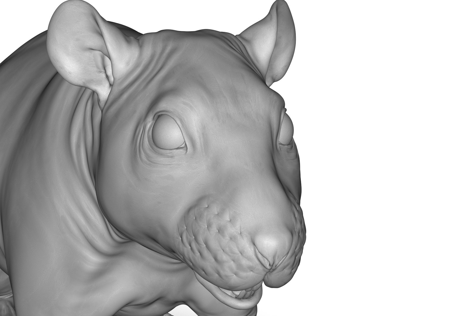 3D Rat Model - TurboSquid 2213668