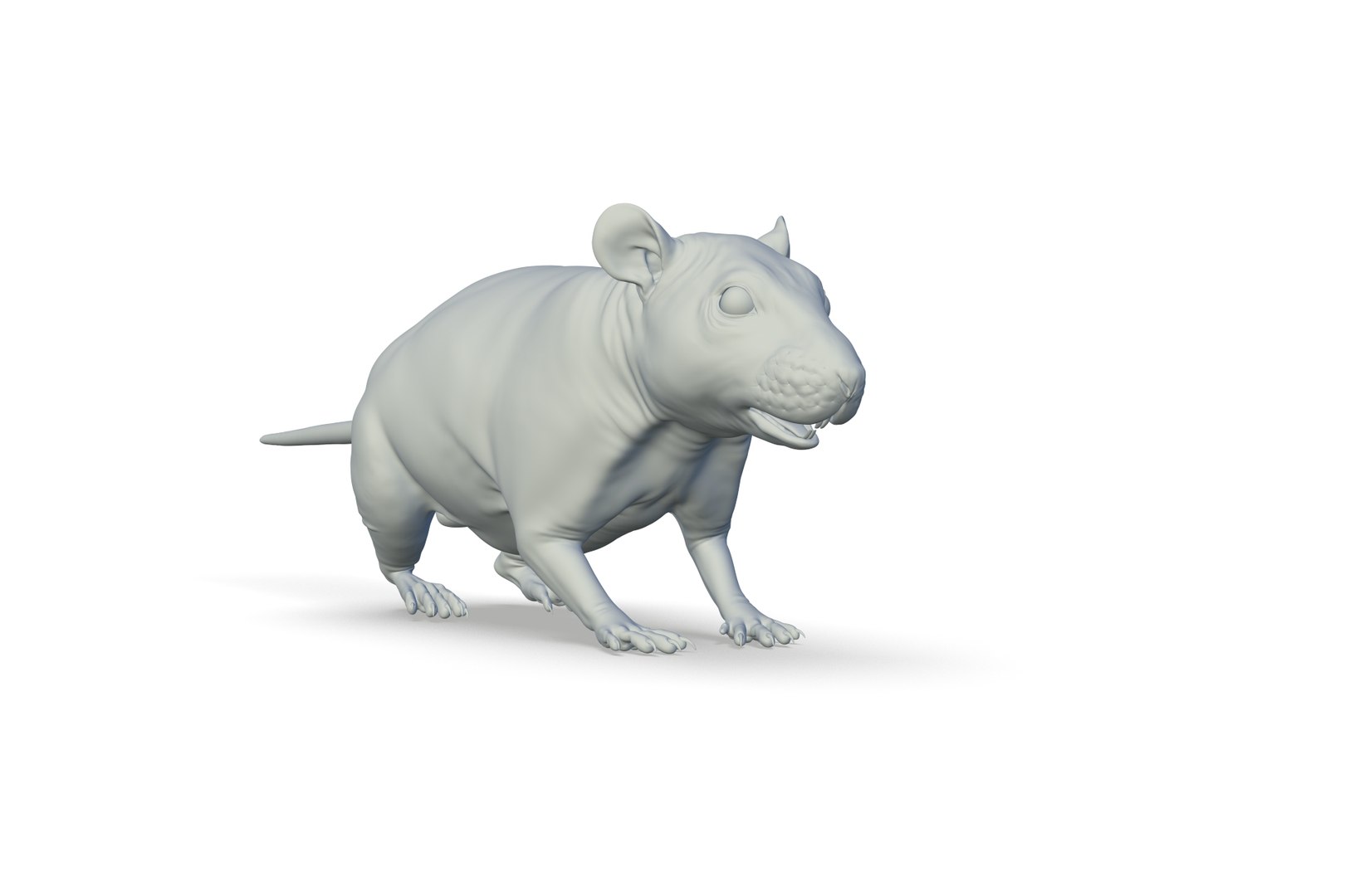 3D Rat Model - TurboSquid 2213668