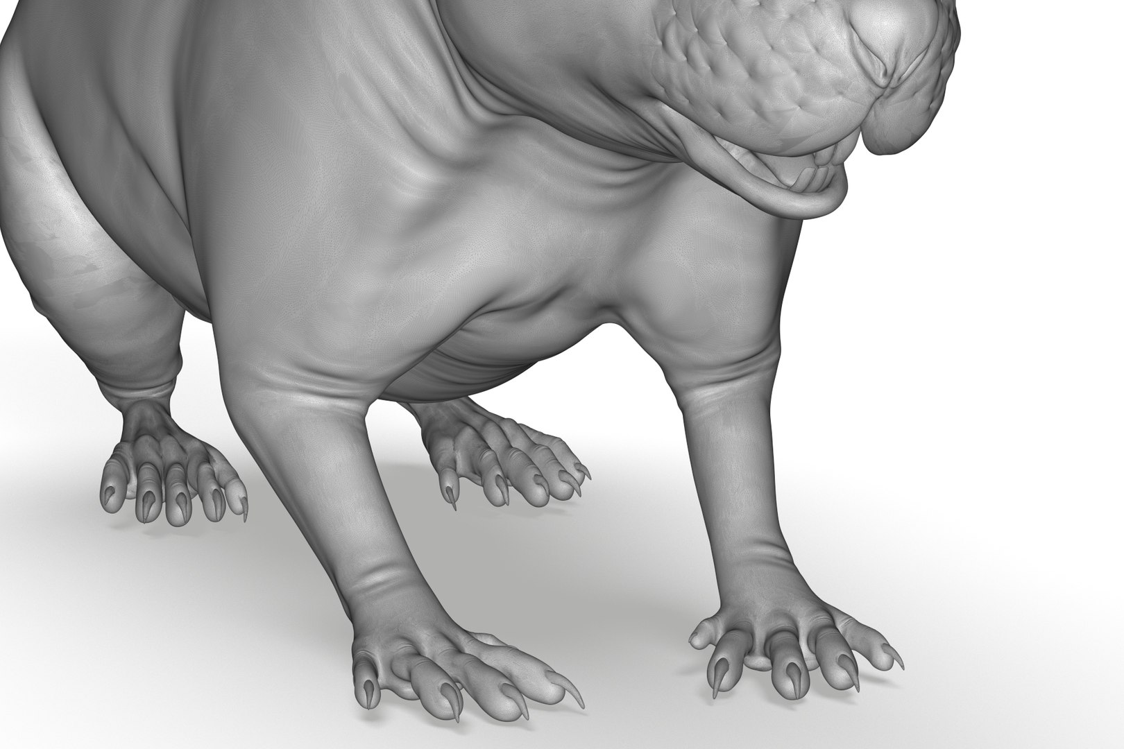 3D Rat Model - TurboSquid 2213668