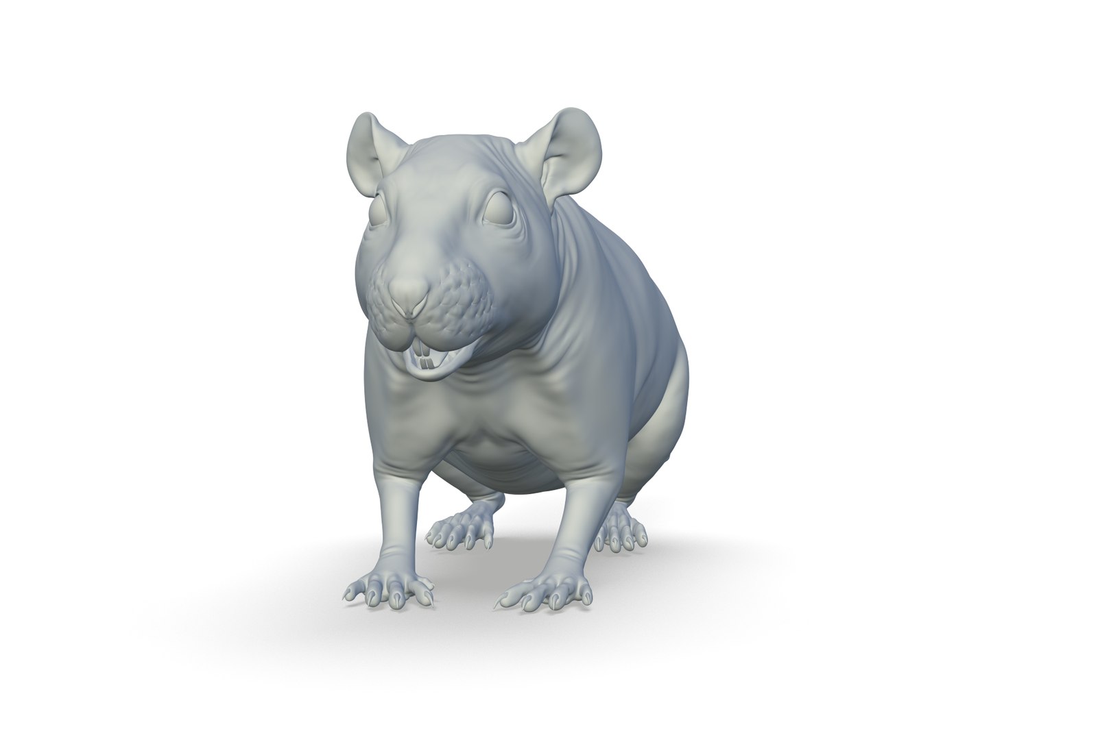 3D Rat Model - TurboSquid 2213668