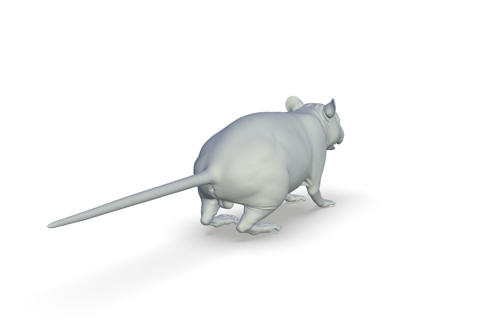 3D Rat Model - TurboSquid 2213668
