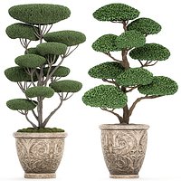 Topiary tree in classic flowerpots